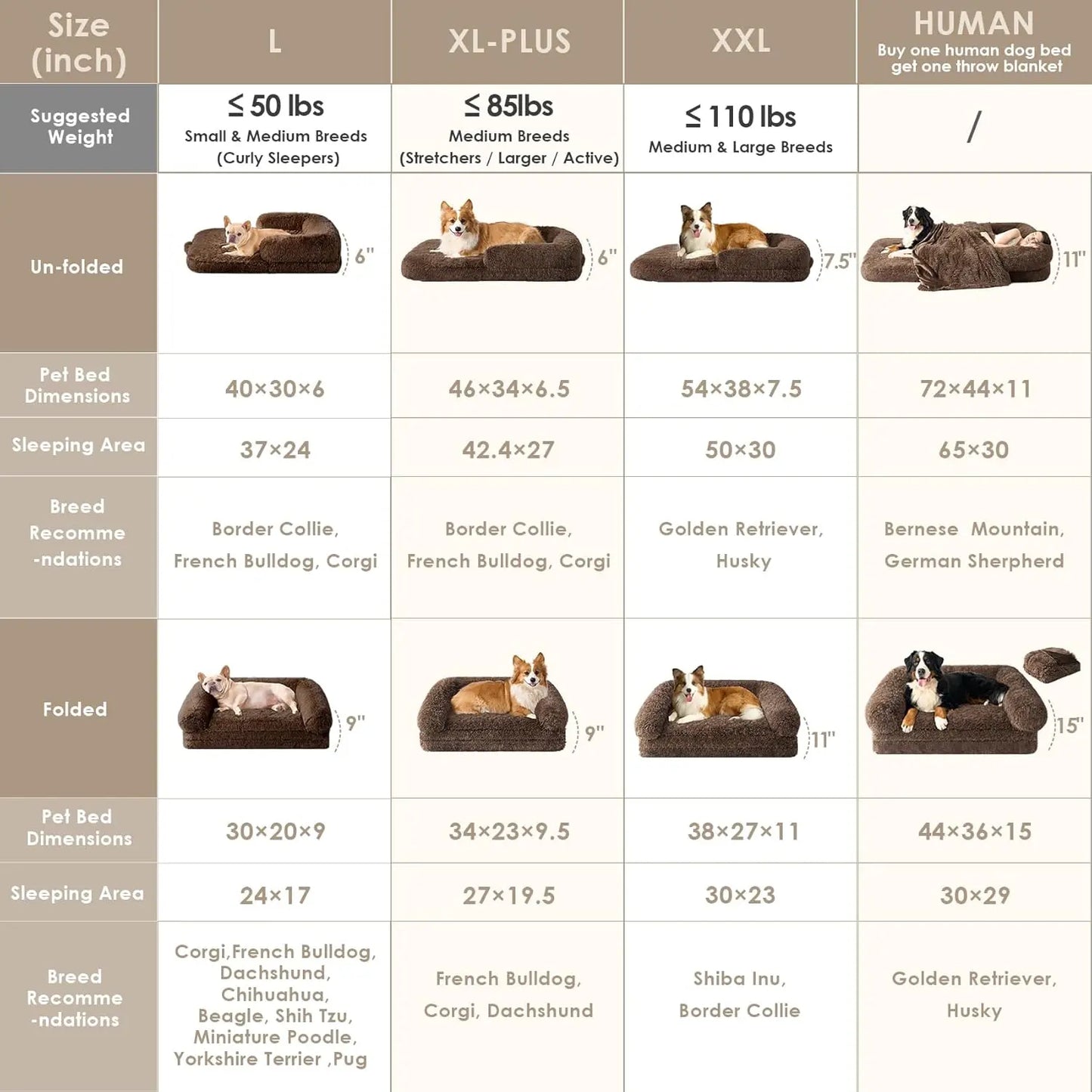 Foldable Bed for Both Humans and Dogs